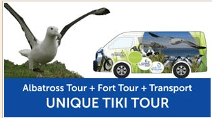 screen shot 2019-01-18 at 12.03.54 pm