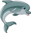 dolphin