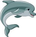 dolphin