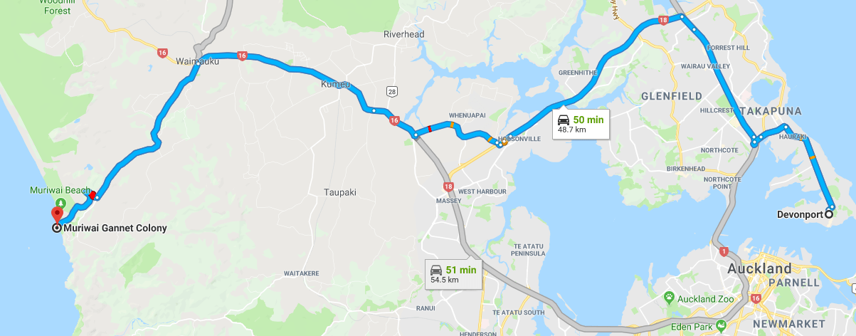 Screen Shot 2019-03-23 at 8.03.40 AM